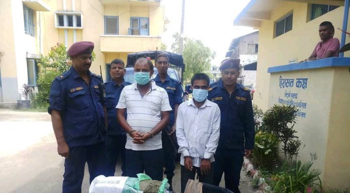 लागु औषध गाँजा सहित दुई जना पक्राउ