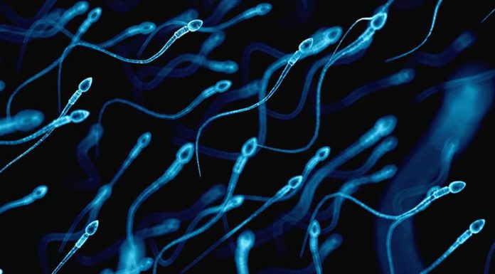 पुरुषलाई गर्भनिरोधक चक्की !