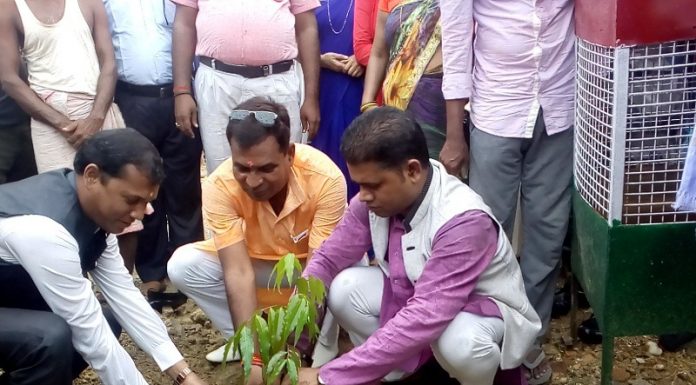 प्रदेश २ मा अहिले वृक्षारोपण अभियान युद्धस्तरमा