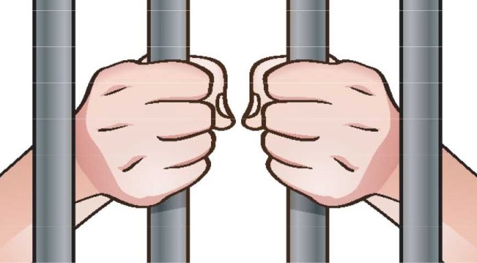 बलात्कार आरोपमा १४ वर्ष कैद