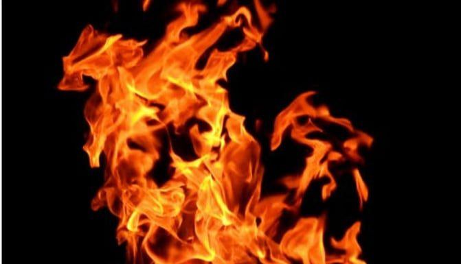 कार्टुन उद्योगमा आगलागी