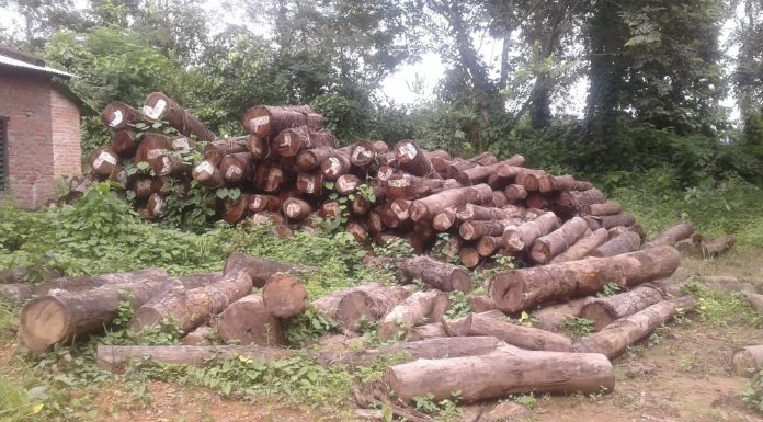 थन्काइएका काठ