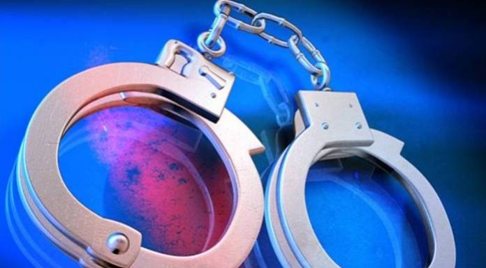 महिला सहित दुई फरार प्रतिवादी पक्राउ ।