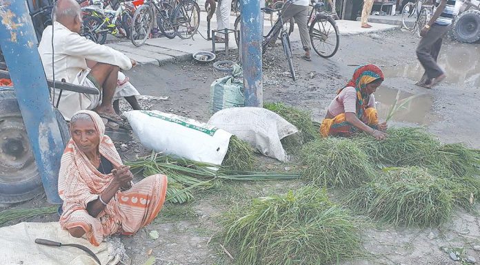 घाँस बेच्दाबेच्दै बैंस गयो