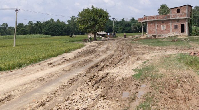 मेवा-शीतलपुर सडकखण्ड जिर्ण, आवत जावत गर्न ठुलो कठिनाई ।