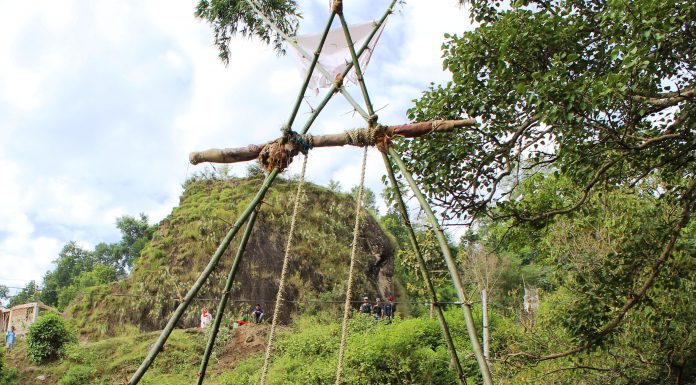 प्रमुख जिल्ला अधिकारी पिङ खेल्दै