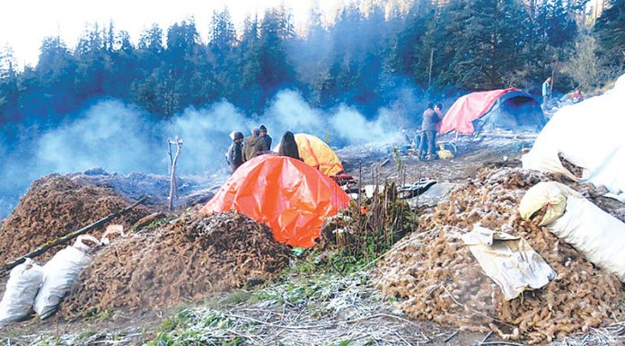 पुरानो बिक्री नहुँदै नयाँ सङ्कलन पुर्जी ।