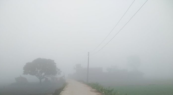 तराईमा हुस्सु र कुहिरो ।