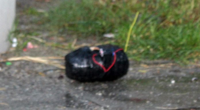 वन कार्यालयको प्राङ्गणभित्र फेला परेको बम ।