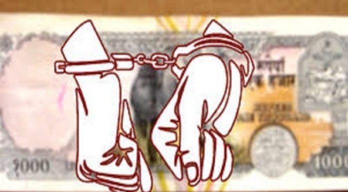 नक्कली नोट सहित दुई जनालाई पक्राउ ।