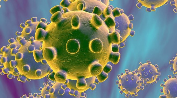 कोरोना भाइरस संक्रमणको आशंका गरेका साउदी नागरिक टेकु अस्पतालबाट फरार ।