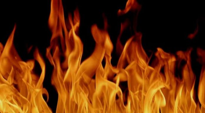 रौतहको कटहरिया नगरपालिका वडान नं १ मा गहुँको खेतमा आगजनी ।