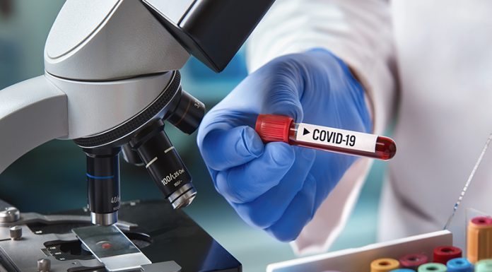 नेपालमा छैटौं कोरोना भाइरस संक्रमित भेटिए ।