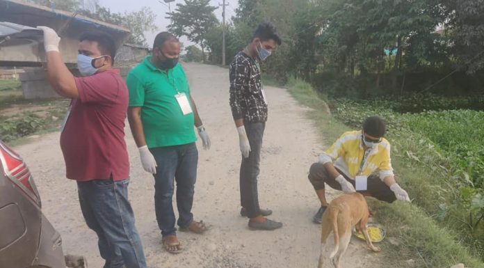 युवाहरू द्वारा कुकुरलाई भोजन खुवाउने अभियान ।