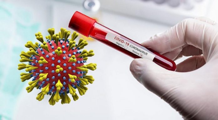 नेपालमा कोरोना संक्रमणका कारण मृत्यु हुनेको संख्या २ जना पुग्यो ।