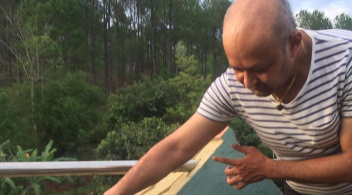 जन्मदिनमा वृक्षारोपण अभियानमा संचारकर्मि ।