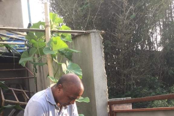 पत्रकार महासंघका केन्द्रीय महासचिवकाे वृक्षारोपणले अभियानमा उत्साह ।