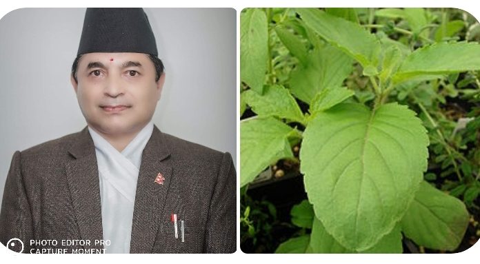 “हरिशयनी एकादशी र यसकाे महत्त्व” ।