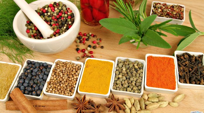 रामपुरमा नयाँ आयुर्वेद तथा प्राकृतिक अस्पताल ।