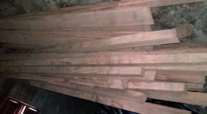 चिरान काठ सहित ११ पक्राउ ।