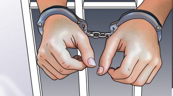 सर्लाही बाट पेस्तोलसहित एकजना पक्राउ