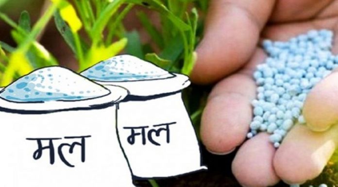 रासायनिक मल नपाउँदा कञ्चनपुरका किसान चिन्तित