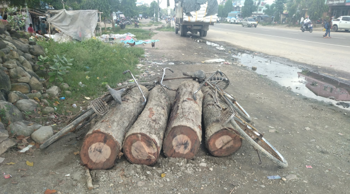 रौतहटमा सालको अवैध काठ बरामद, तस्कर भने फरार