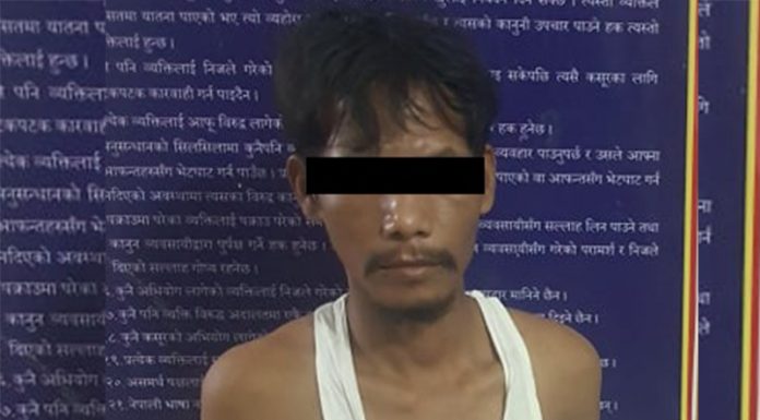 दाजुलाई मार्तल प्रहार गरी हत्या