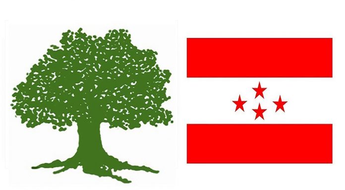 नेपाली कांग्रेसले सर्लाहीको वडा अधिवेशन अझै अनिश्चित