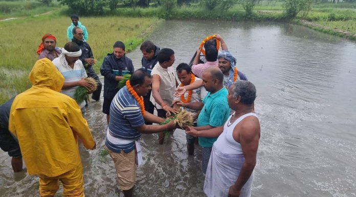 ‘अन्नबाली जनकपुरधामको रखवाली’ नाराका साथ जनकपुरधाम उपमहानगरपालिकाले मनायो धान दिवस ।