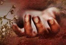 सिनामंगलमा एक पुरुष मृत भेटिएको छ ।