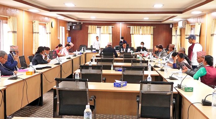 यौन हिंसामा परेकालाई राज्य कोषबाट क्षतिपूर्ति दिइने ।