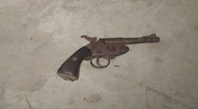 एक थान कटुवा पेस्तोलसहित दुईजना पक्राउ ।