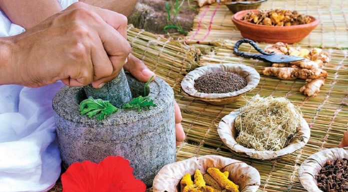 झापामा आयुर्वेदिक उपचार सेवा प्रभावकारी |