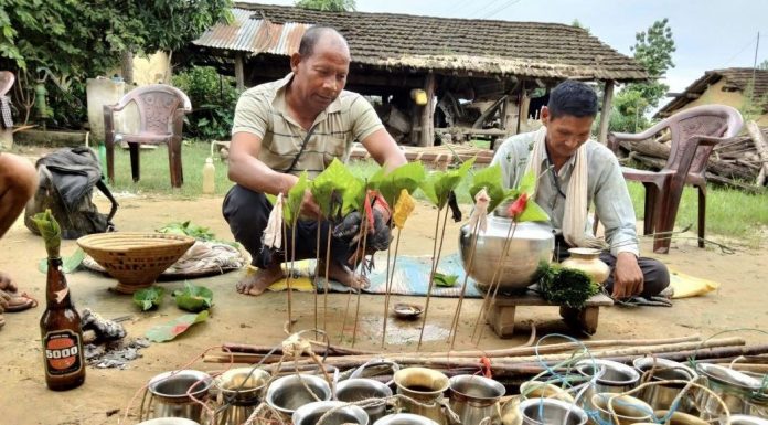 धानलाई रोगबाट जोगाउन थारू गाउँमा हरेरी पूजा |