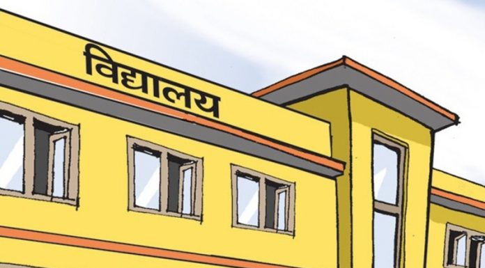 निजीभन्दा अब्बल बन्दै सरकारी विद्यालय