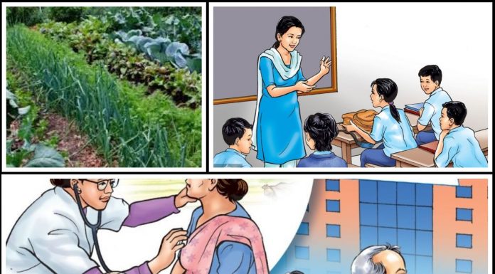शिक्षा, स्वास्थ्य र कृषिमा प्राथमिकता |