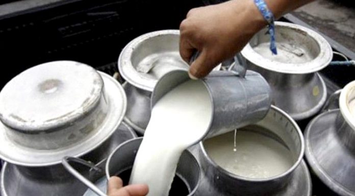 अनुदान कार्यक्रमले दूध उत्पादनमा वृद्धि