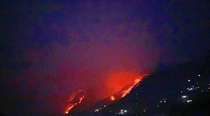 गलकोटका छ सामुदायिक वनमा आगलागी, ३० बस्ती उच्च जोखिममा |