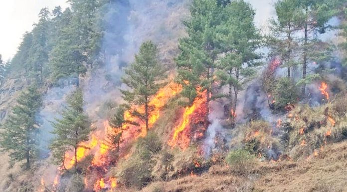 बढ्दै वनमा डढेलोः निभाउने प्रविधि र जनशक्ति अभाव |