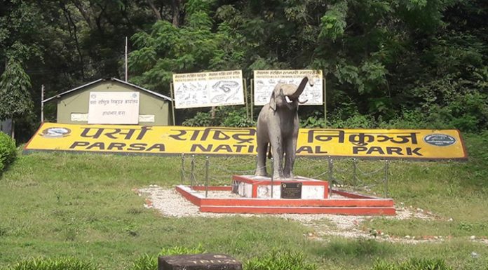 पर्सा राष्ट्रिय निकुञ्जमा पर्यटक आगमन वृद्धि |