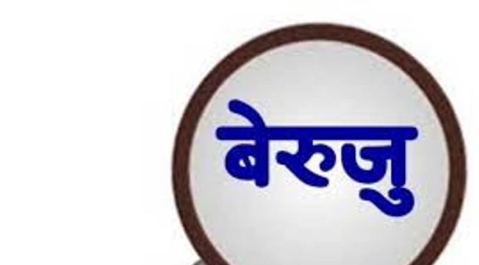 बेरुजु फछ्र्यौट गर्न तदारुकता देखाइनुपर्छ : सभामुख घिमिरे