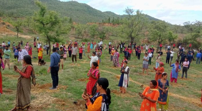 दाङमा तीन लाख बिरुवा तयार, निःशुल्क वितरण गरिने