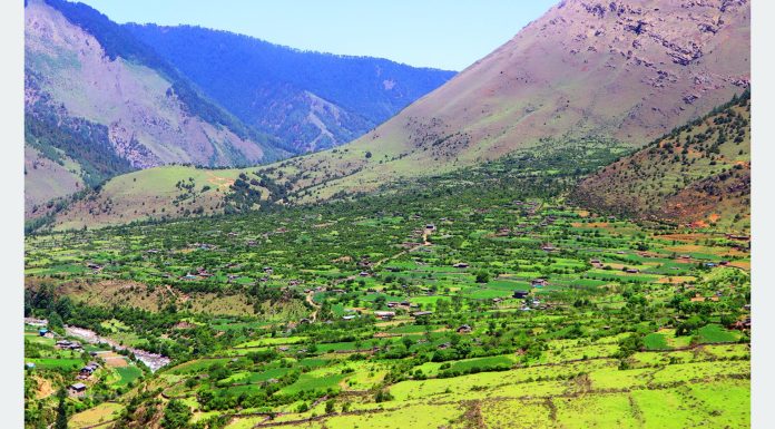 आलेख : सास्तीमा छन् निसेलढोरवासी