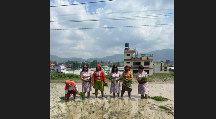 आलेख : खेती धान्ने महिला किसानलाई छैन प्रोत्साहन