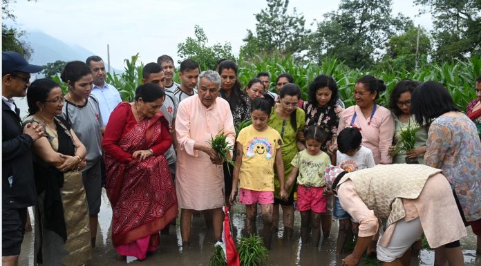 शीतल निवासमा धान रोपाइँ