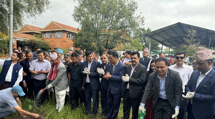 विद्युत् प्राधिकरणका देशभरका कार्यालयमा वृक्षारोपण