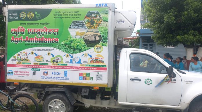 पोखरामा गाउँगाउँबाट कृषि ‘एम्बुलेन्स’ले ल्याउँछ तरकारी