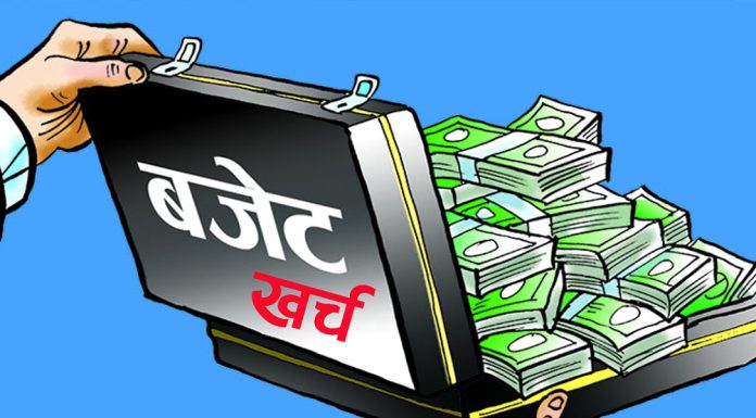 पुँजीगततर्फ ७३ प्रतिशत खर्च