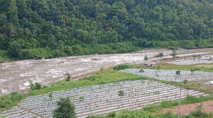 कर्ममा रमाउँदै प्रसाईं